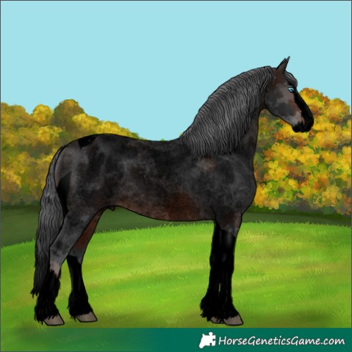 Horse Color:Void Brown Roan Merle Splash Tobiano 