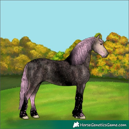 Horse Color:Void Watercolor Brown Roan Dun Merle Tobiano 