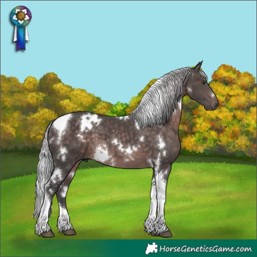 Horse Color:Platinum White Spotted Silver Brown Tobiano 