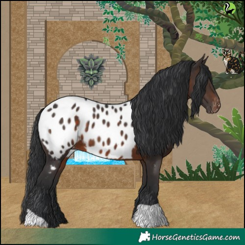Horse Color:Brown Blanket 