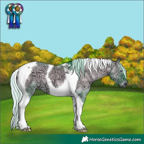 Horse Color:Gray Watercolor Silver Brown Chinchilla Ice Onyx Tobiano 