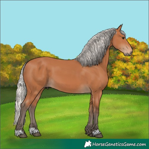 Horse Color:Silver Bay