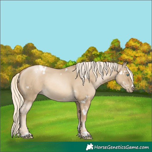Horse Color:White Spotted Chocolate Palomino Pearl Dun Mushroom