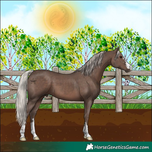 Horse Color:Unknown
