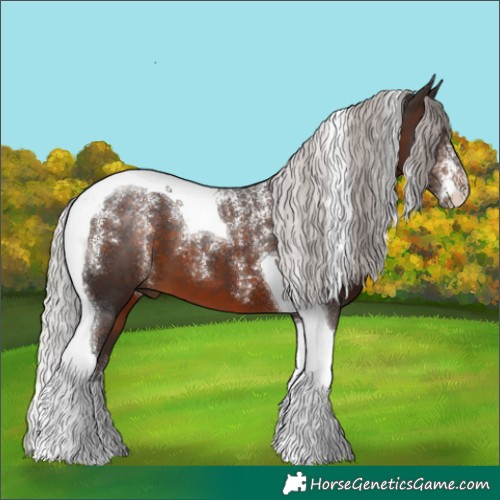 Horse Color:Powder White Silver Brown Tobiano 