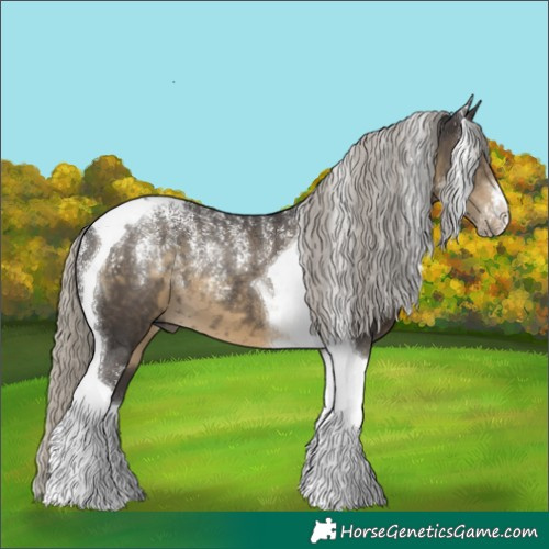 Horse Color:Powder White Silver Smoky Black Tobiano