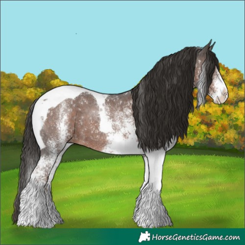 Horse Color:White Spotted Liver Chestnut Tobiano 