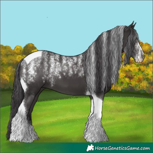 Horse Color:Powder White Smoky Black Tobiano 