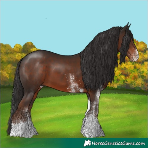 Horse Color:White Spotted Liver Chestnut Tobiano