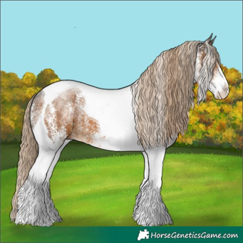 Horse Color:White Spotted Chocolate Palomino Tobiano