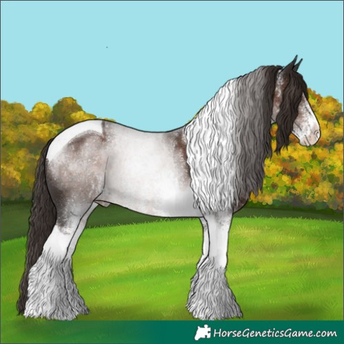 Horse Color:White Spotted Liver Chestnut Tobiano