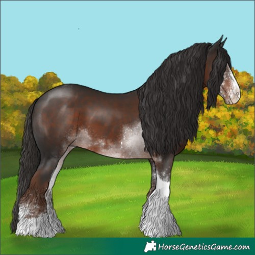 Horse Color:White Spotted Liver Chestnut Tobiano 