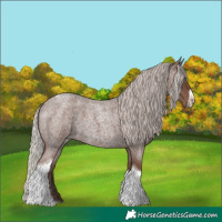 Horse Color:Silver Blue Roan Tobiano Frame