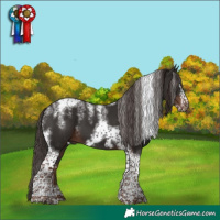 Horse Color:Powder White Liver Chestnut Tobiano Frame