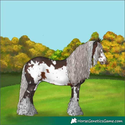 Horse Color:White Spotted Silver Brown Sabino Frame