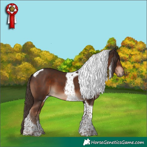 Horse Color:Liver Chestnut Tobiano 