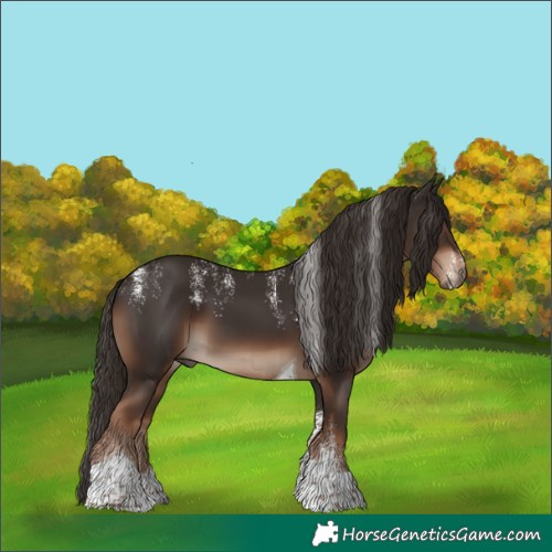 Horse Color:Powder White Liver Chestnut Tobiano