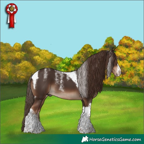 Horse Color:Powder White Liver Chestnut Tobiano Frame