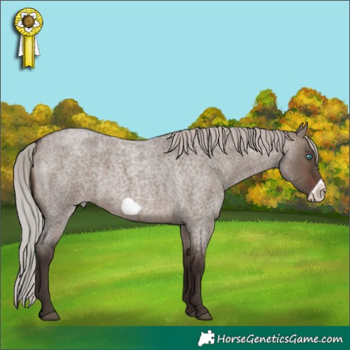 Horse Color:Silver Brown Roan Dun Frame