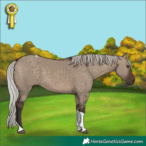 Horse Color:Silver Brown Dun Tobiano