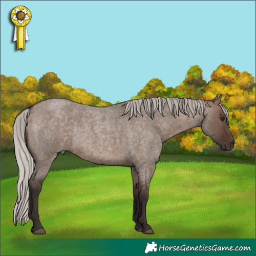 Horse Color:Silver Brown Roan Dun