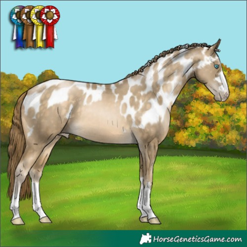 Horse Color:Buckskin Pearl Skewed LP Spotted 