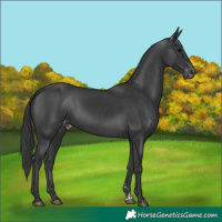 Horse Color:Black Varnish