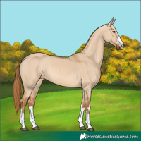 Horse Color:Red Dun