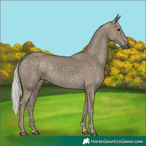 Horse Color:Silver Smoky Black 