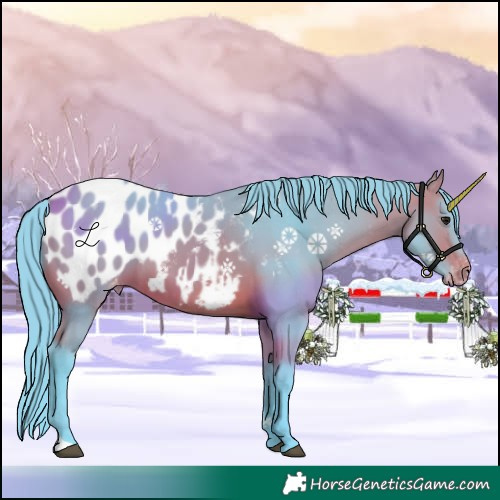 Horse Color:Watercolor Bay Appaloosa