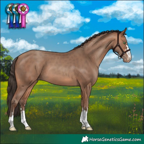 Horse Color:Amber Champagne Varnish