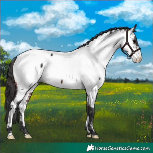 Horse Color:Brown Fewspot