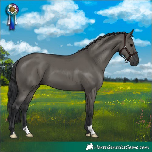 Horse Color:Grullo 