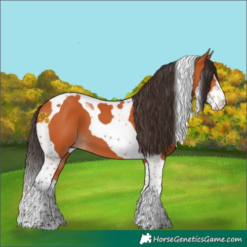 Horse Color:Bay Sabino Tobiano