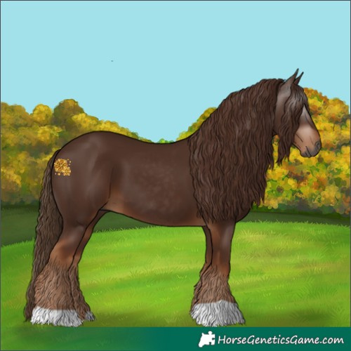 Horse Color:Gray Chestnut 