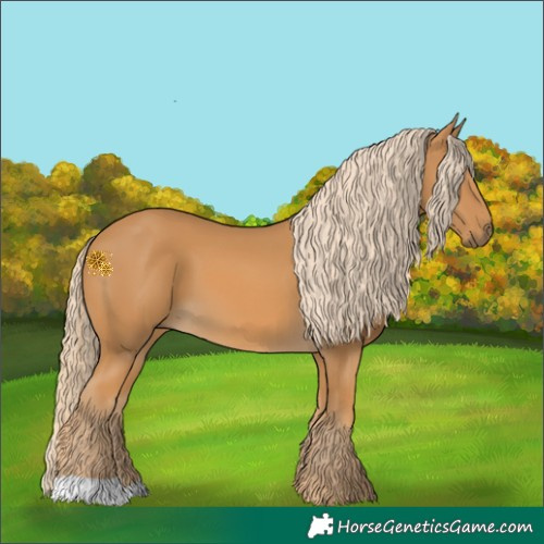 Horse Color:Palomino