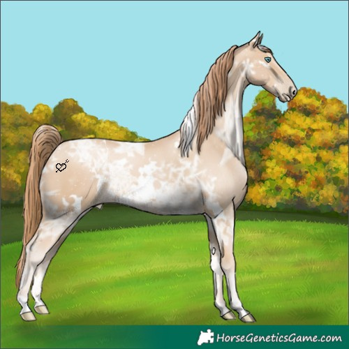 Horse Color:White Spotted Smoky Black Ice Pearl 