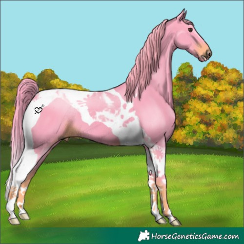 Horse Color:Watercolor Liver Chestnut Tobiano