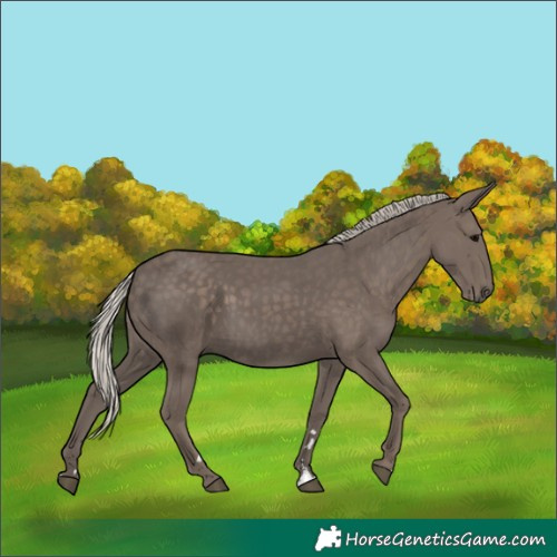 Horse Color:Silver Black 