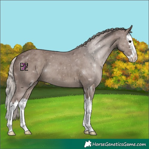 Horse Color:Chocolate Silver Black Splash