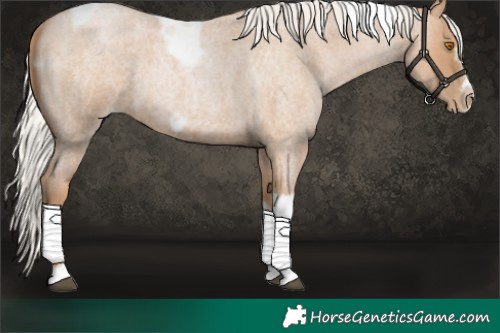 Horse Color:Silver Blue Roan Pearl Tobiano Frame 