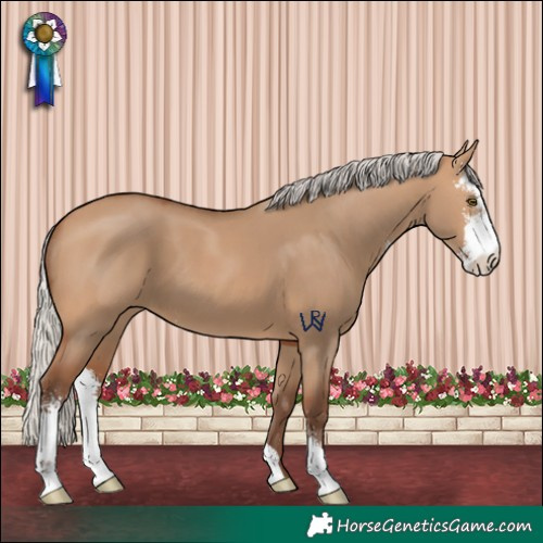 Horse Color:Silver Bay Dun Sabino