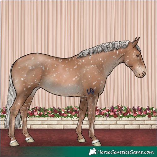 Horse Color:Silver Black Pearl Snowflake Varnish