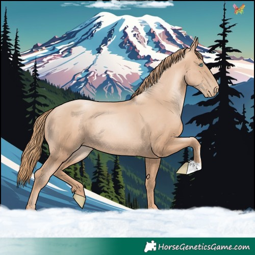 Horse Color:Gold Champagne Pearl Rabicano and Gold Champagne Pearl Rabicano