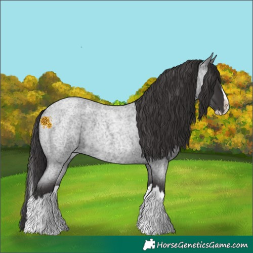 Horse Color:Smoky Blue Roan Splash