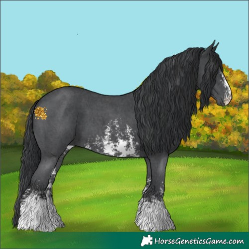 Horse Color:Black Sabino 