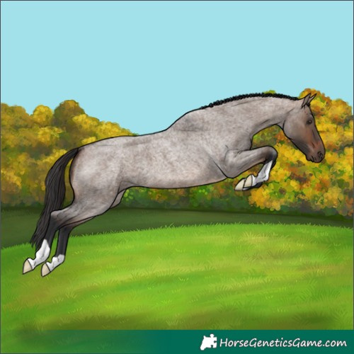 Horse Color:Brown Roan Dun 