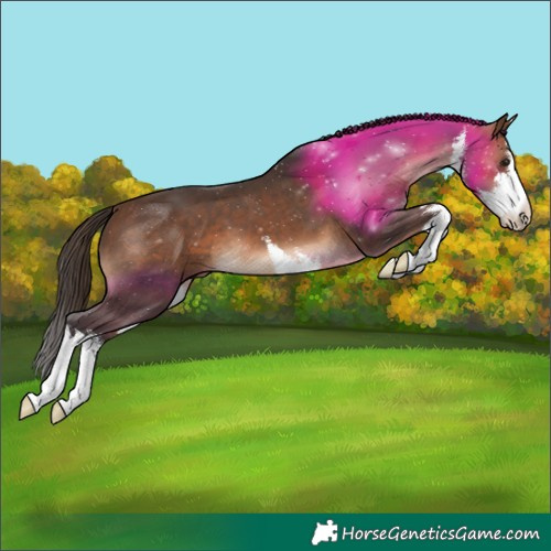 Horse Color:White Spotted Brown 