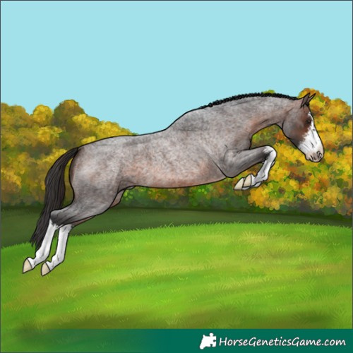 Horse Color:White Spotted Brown Roan 