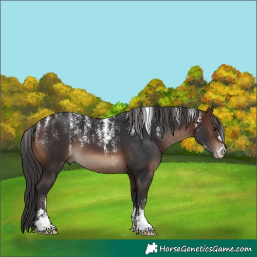 Horse Color:Powder White Brown 